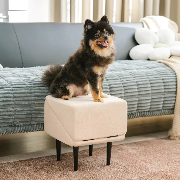 2-in-1 Convertible Dog Ramp and Step Stool - Image 7
