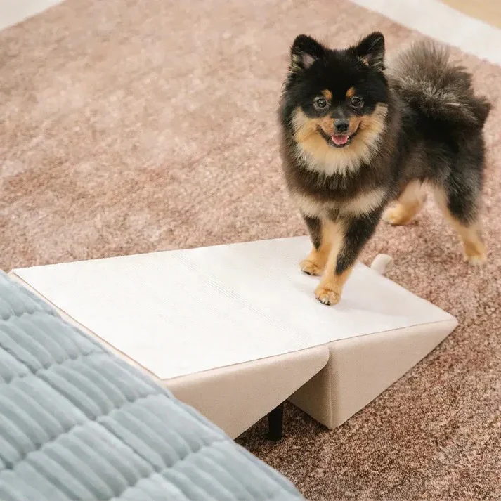 2-in-1 Convertible Dog Ramp and Step Stool - Image 8