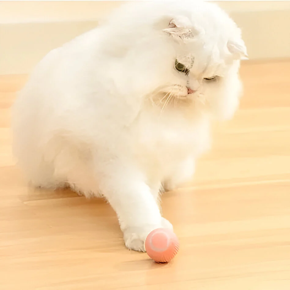 2 in 1 Simulated Interactive Hunting Cat Toy - Image 2