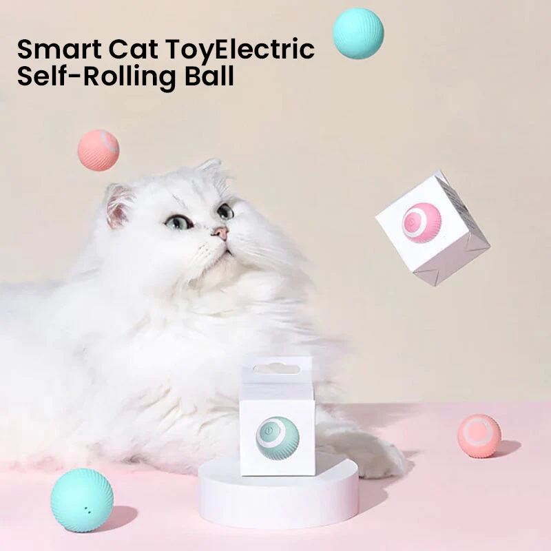 2 in 1 Simulated Interactive Hunting Cat Toy - Image 8