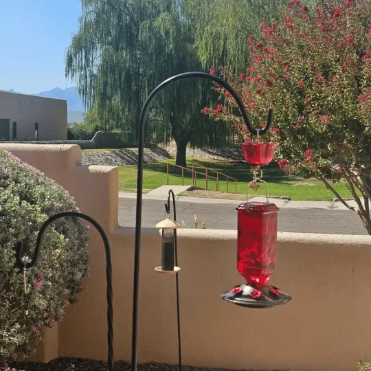 24oz Leak Proof Glass Hummingbird Feeder - Image 2