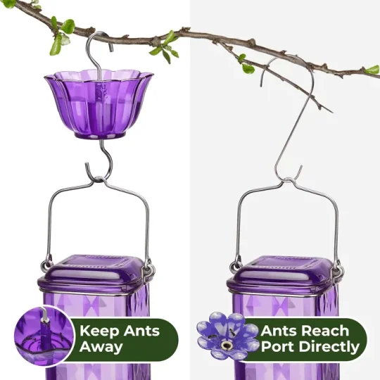 24oz Leak Proof Glass Hummingbird Feeder - Image 5