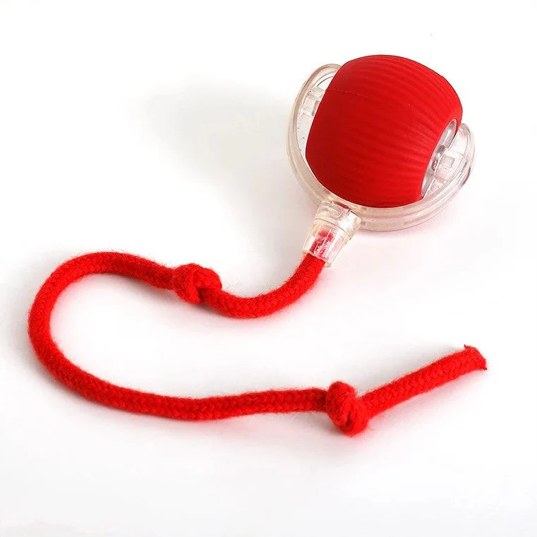 Active Rolling Ball with Tail for Dogs - Image 9