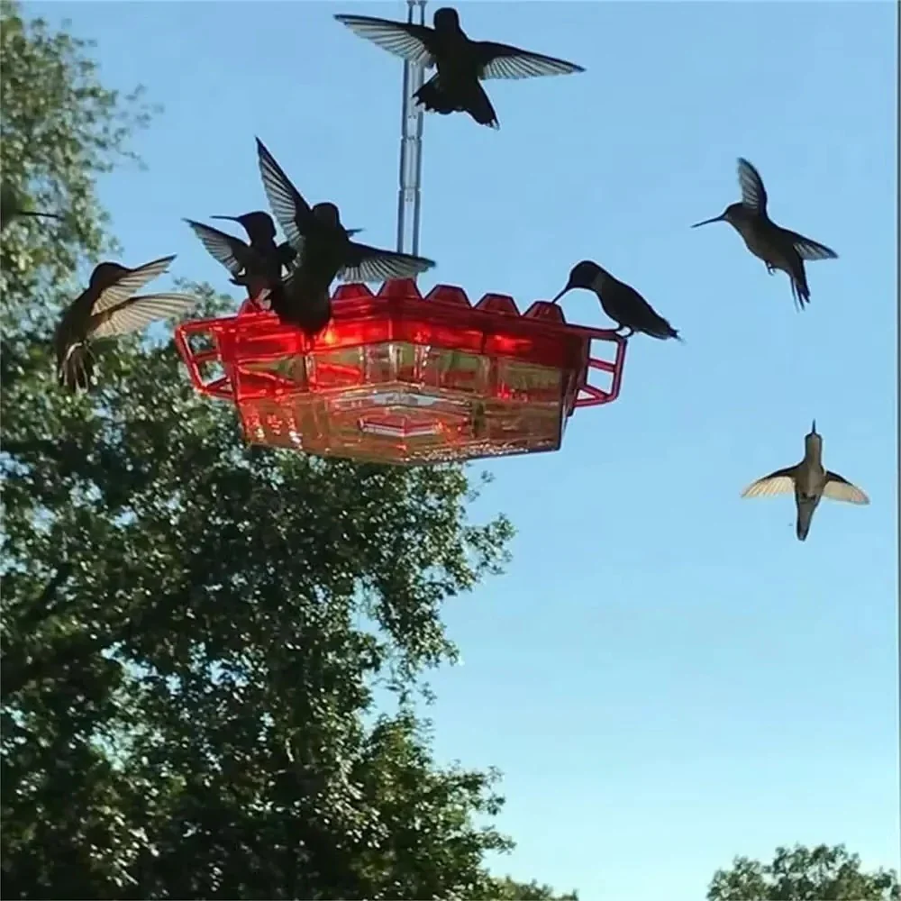 Ant Proof Hummingbird Feeder Outdoor Hanging Perch - Image 9