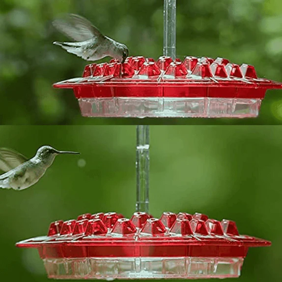Ant Proof Hummingbird Feeder Outdoor Hanging Perch - Image 6
