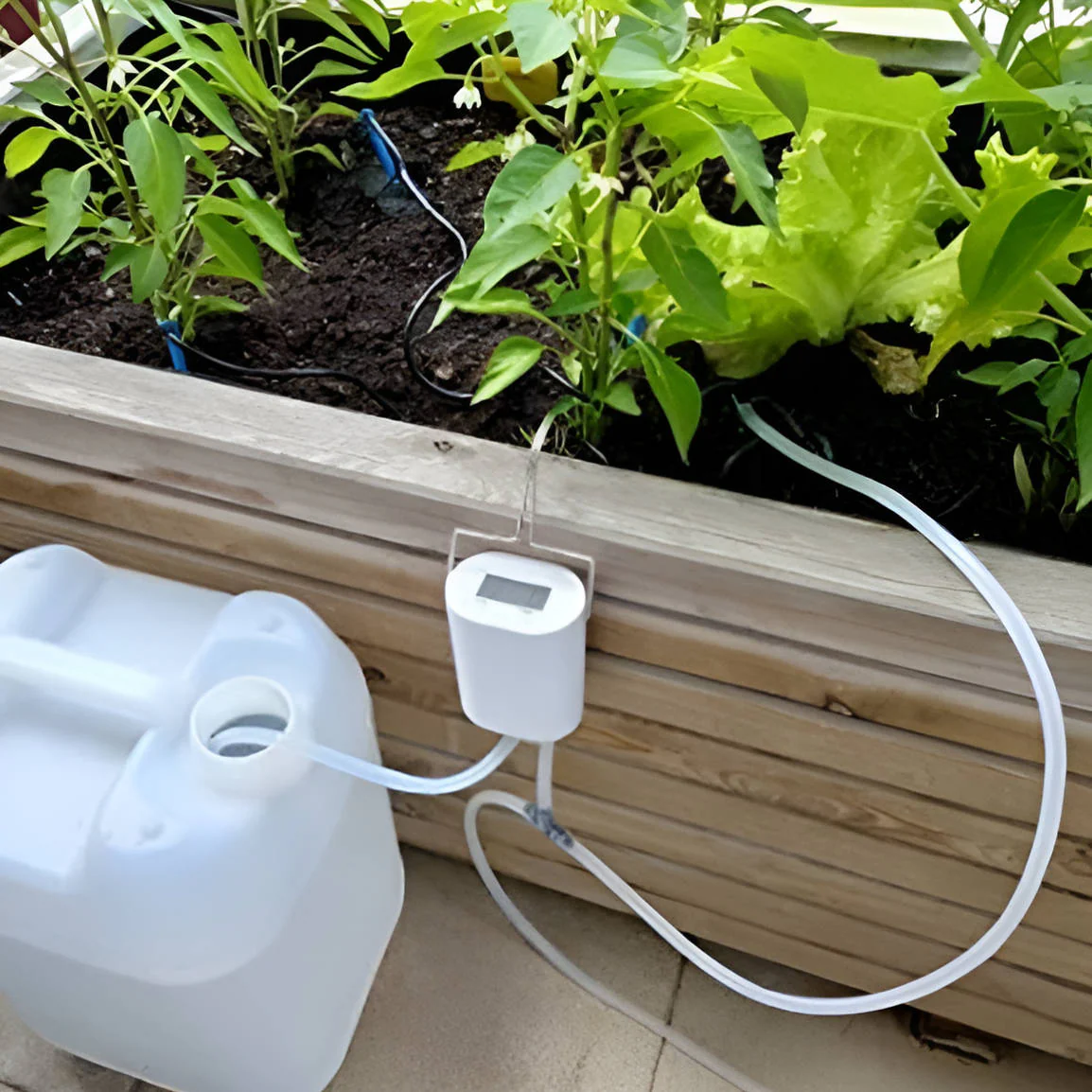 Automatic Watering Pump Controller - Image 3