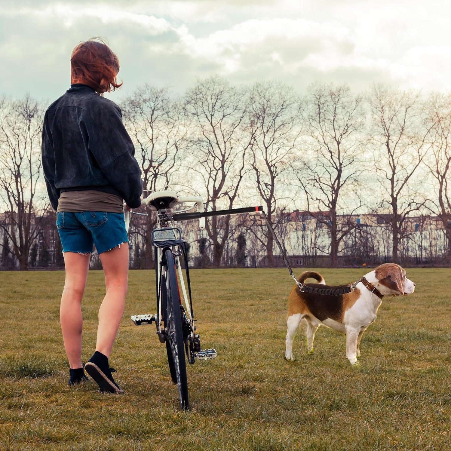 Bike Dog Tow Leash - Image 6
