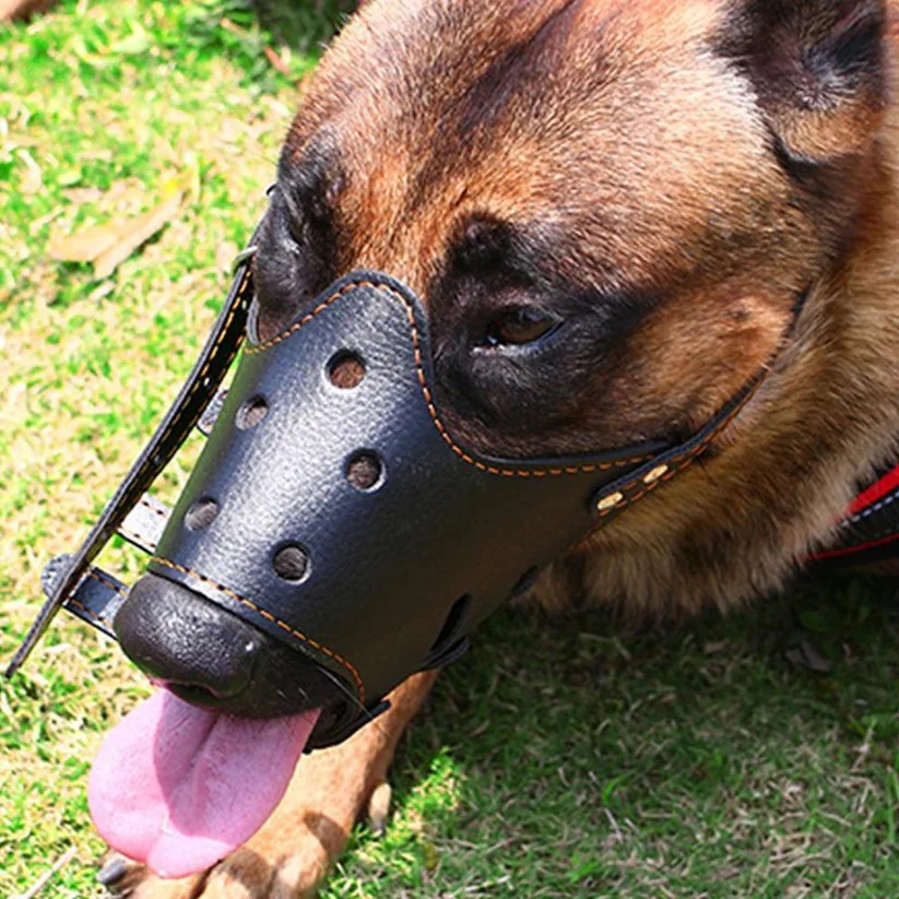 Breathable Dog Biting Muzzle Mouth Guard - Image 3