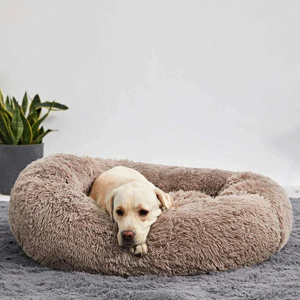 Calming Dog Bed - Image 4