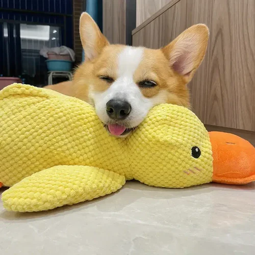 Calming Duck Dog Toy - Image 2