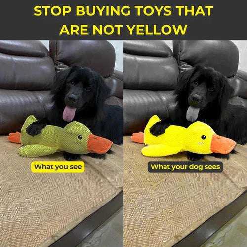 Calming Duck Dog Toy - Image 5