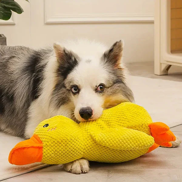 Calming Durable Duck - Image 3