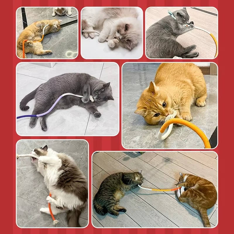 Cat Chew Toys - Image 10