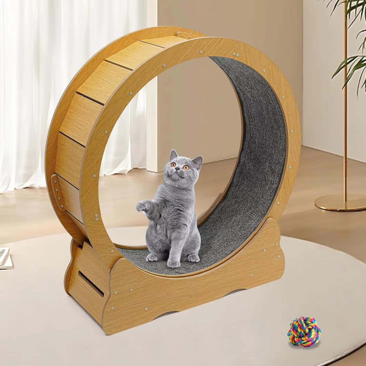 Cat Exercise Wheel - Image 5