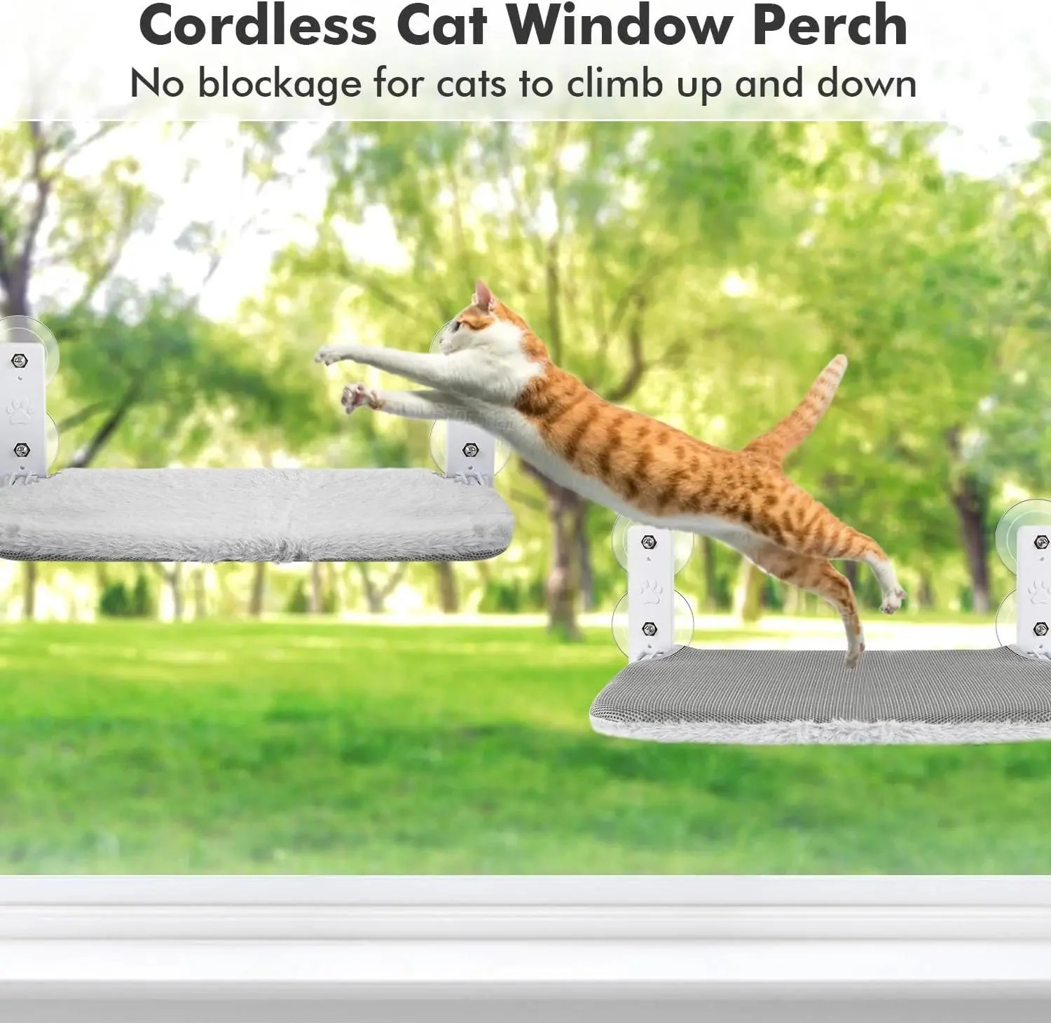 Cat Hammock Window - Image 2