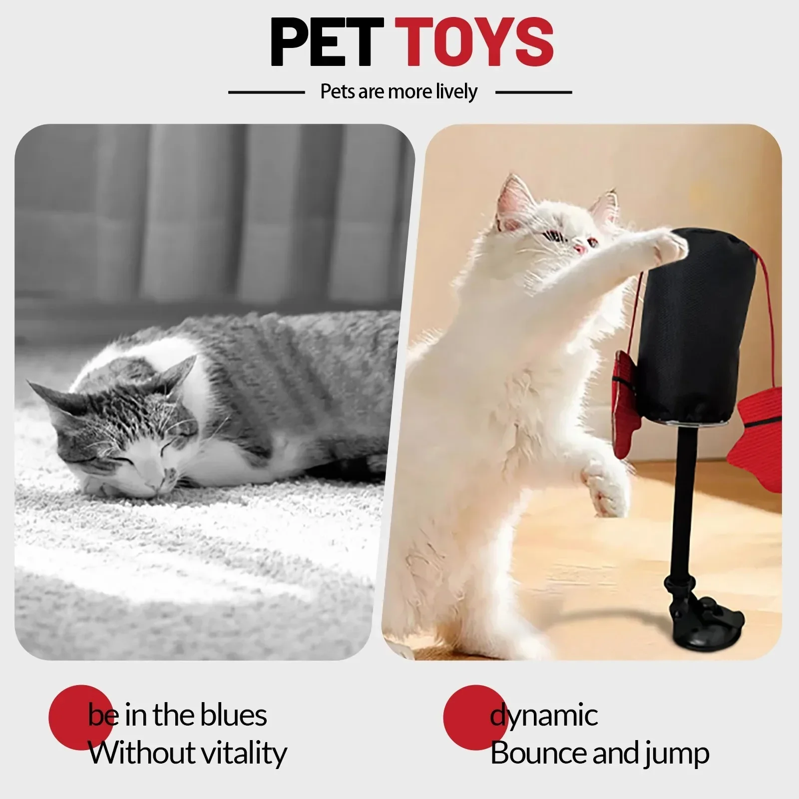 Cat Toys - Image 2