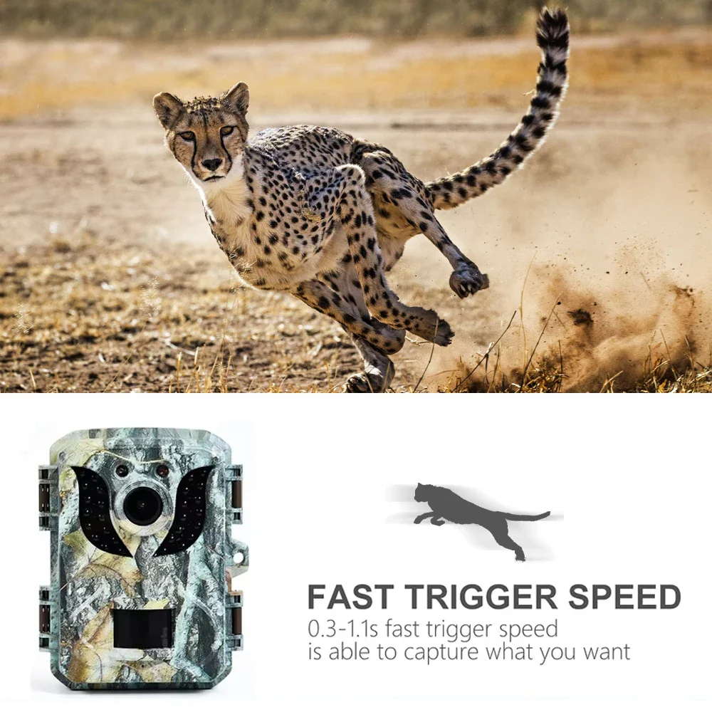 Compact Wildlife Camera with HD Infrared Night Vision - Image 4