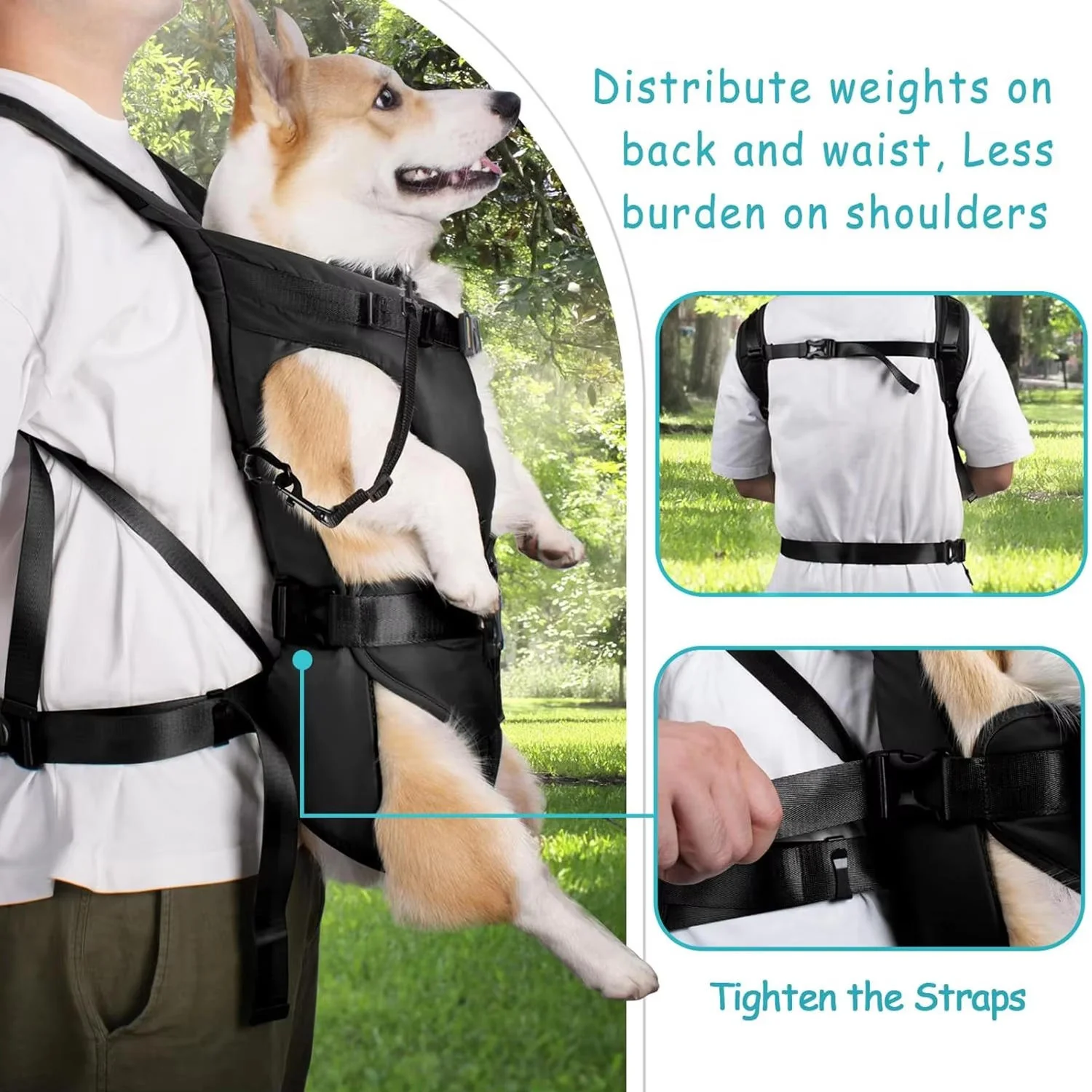 Dog Carrying Backpack - Image 4