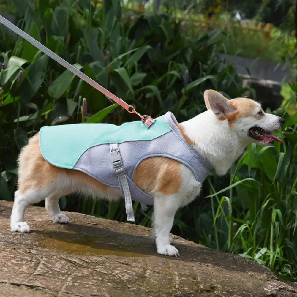 Dog Cooling Vest for Outdoor Activities - Image 2