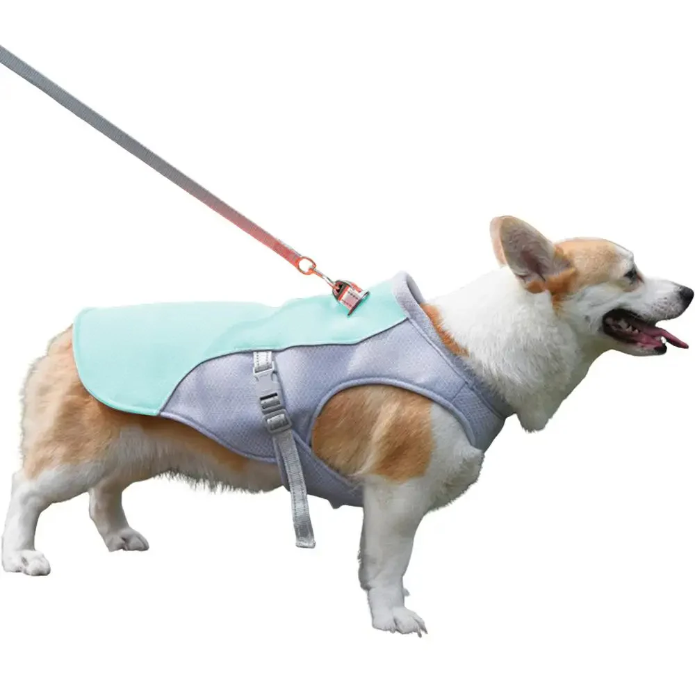 Dog Cooling Vest for Outdoor Activities - Image 7