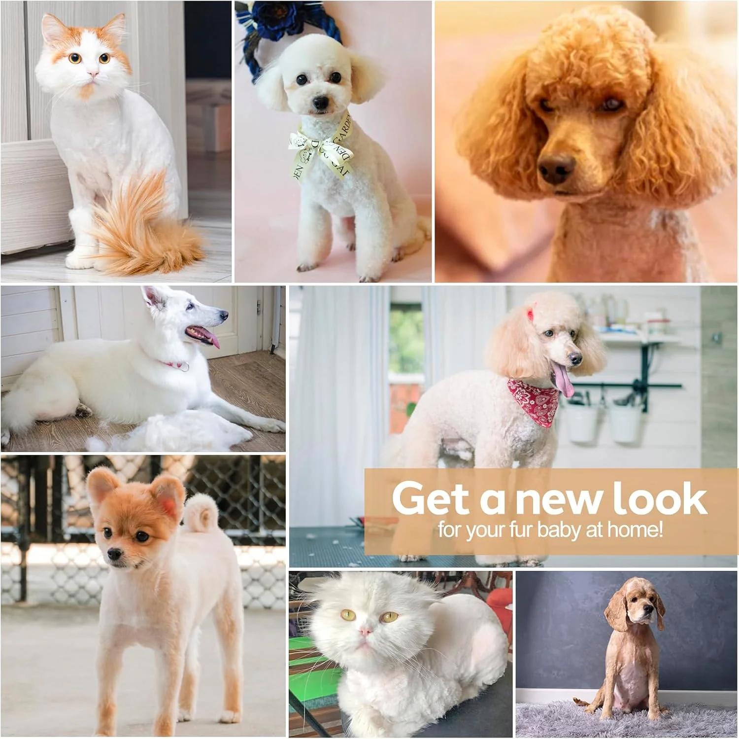 Dog Grooming Clippers Kit - Image 8