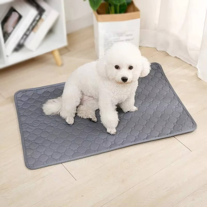 Dog Pee Pads Disposable And Reusable - Image 5