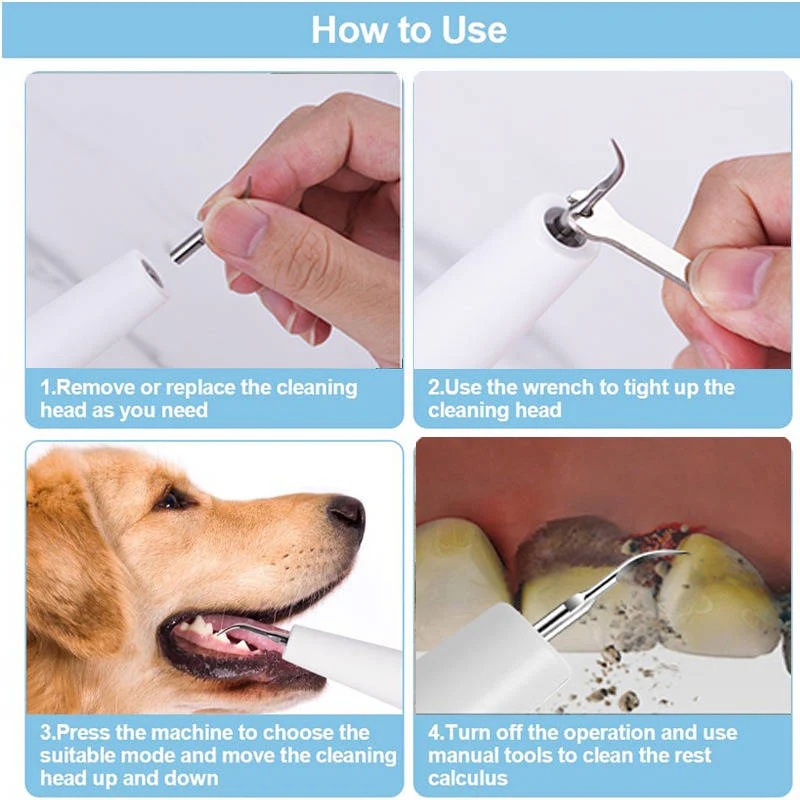 Dog Plaque Tartar Calculus Remover at Home - Image 5