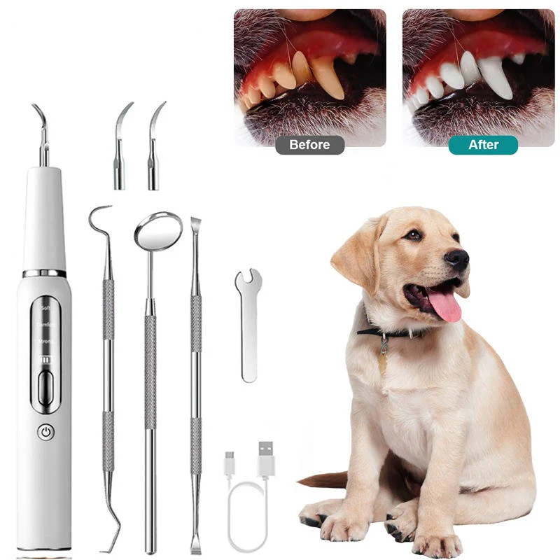 Dog Plaque Tartar Calculus Remover at Home - Image 6