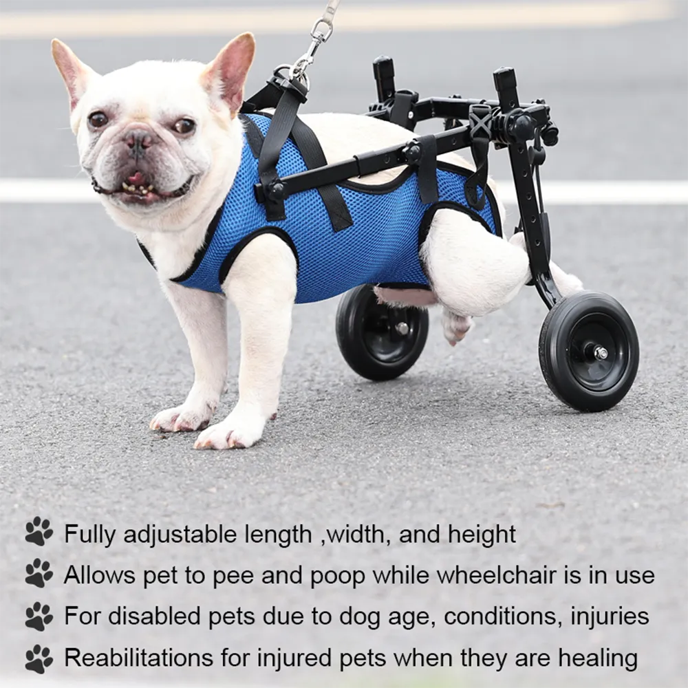 Dog Wheelchair Disability Dog Hind Legs Bracket Cat Dog Injured And Weak Rehabilitation Aid Car Adjustable Pet Walk Booster - Image 5
