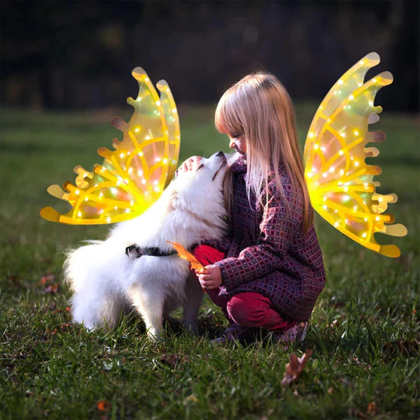 Electric Colorful Kids / Adults LED Fairy Wings Costume - Image 2