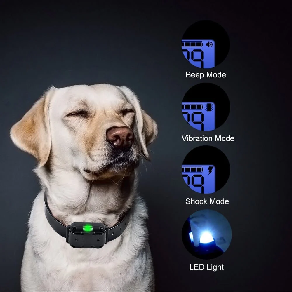 Electric dog training collar 800M Range - Image 3
