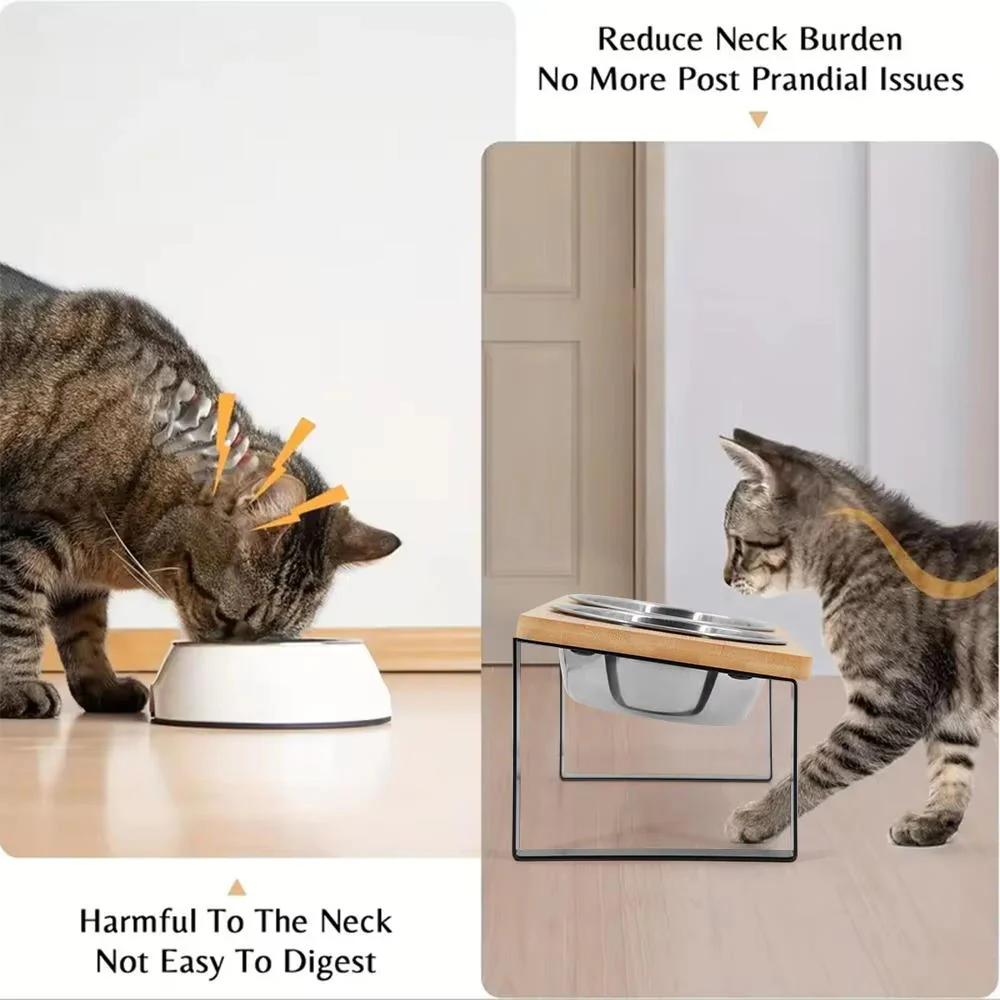 Elevated Cat Bowl - Image 4