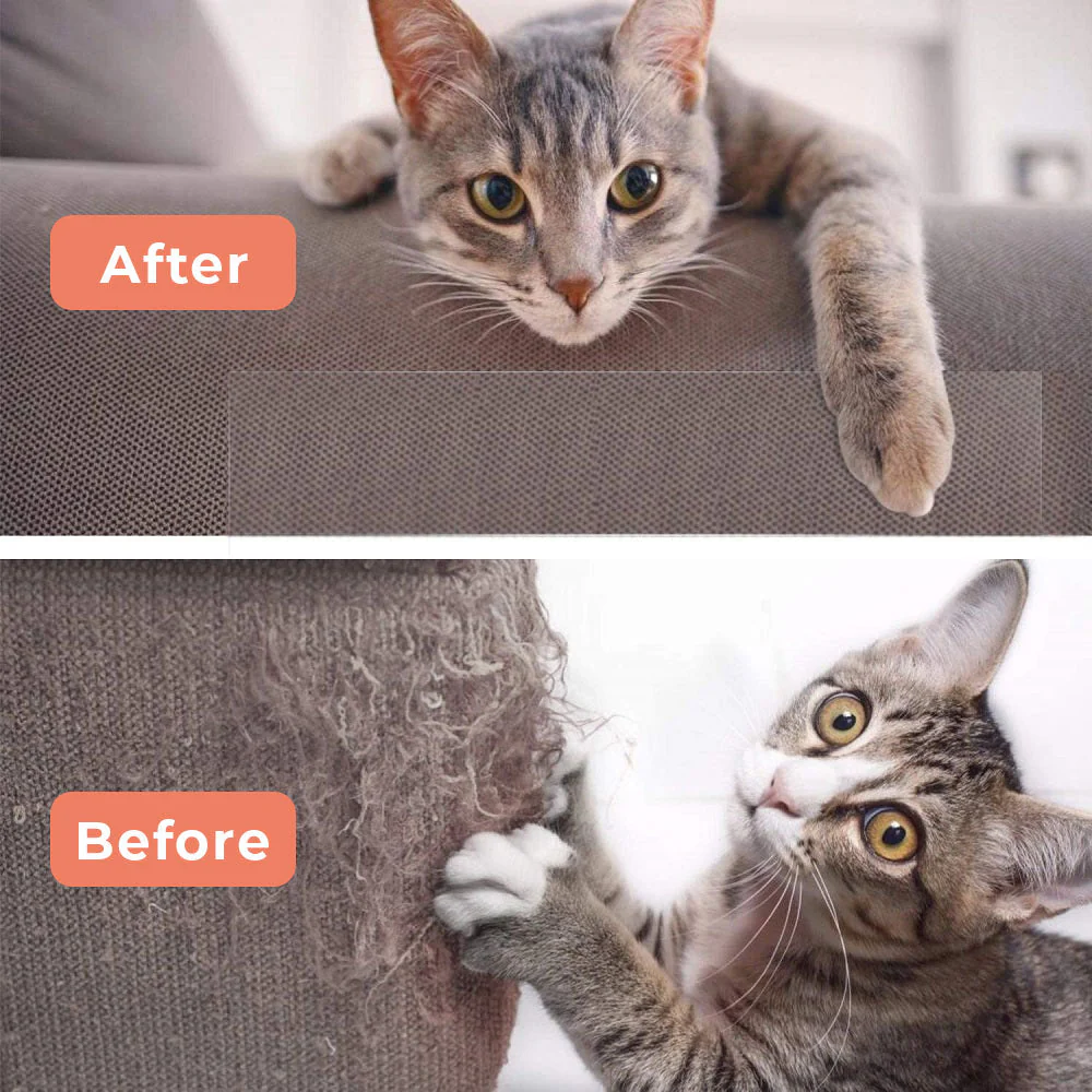 Feline Furniture Guard - Image 7