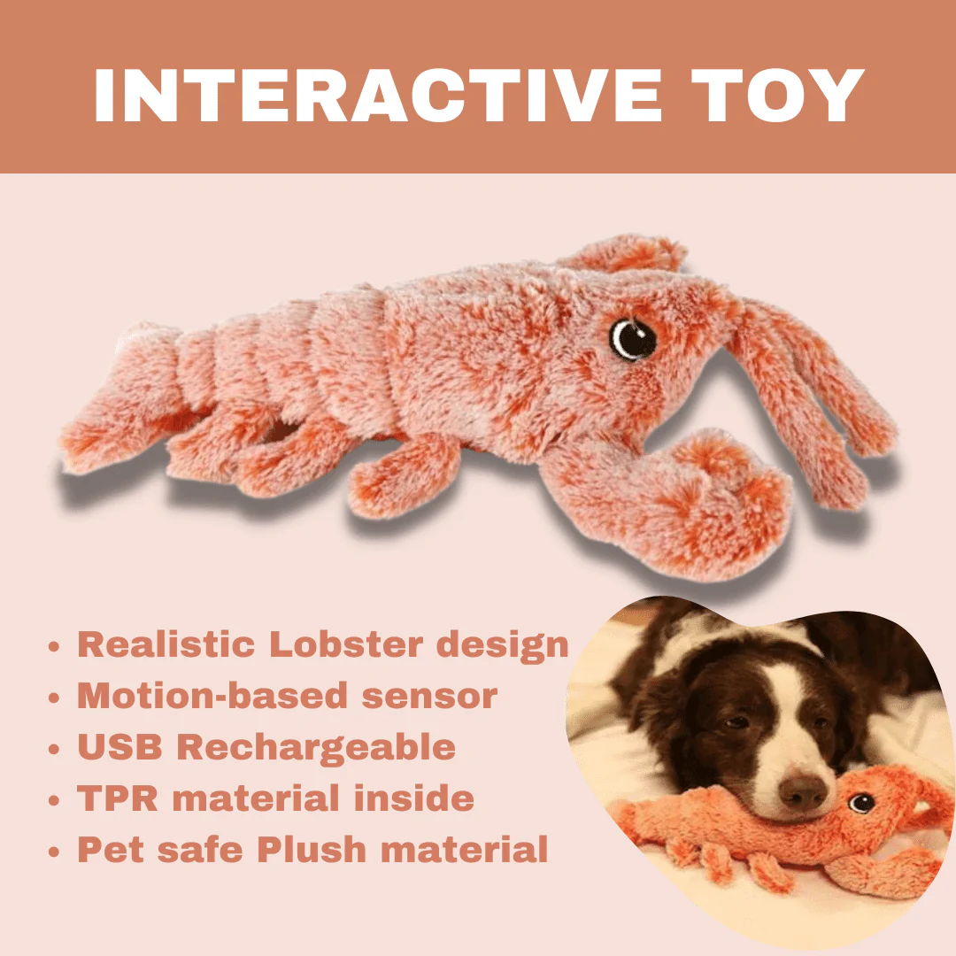 Floppy Lobster Interactive Dog Toy - Image 5