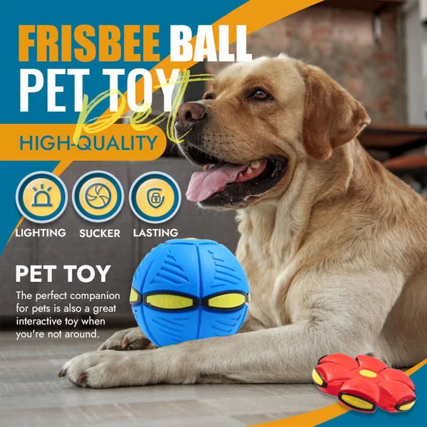 Flying Saucer Ball Dog Toy - Image 6