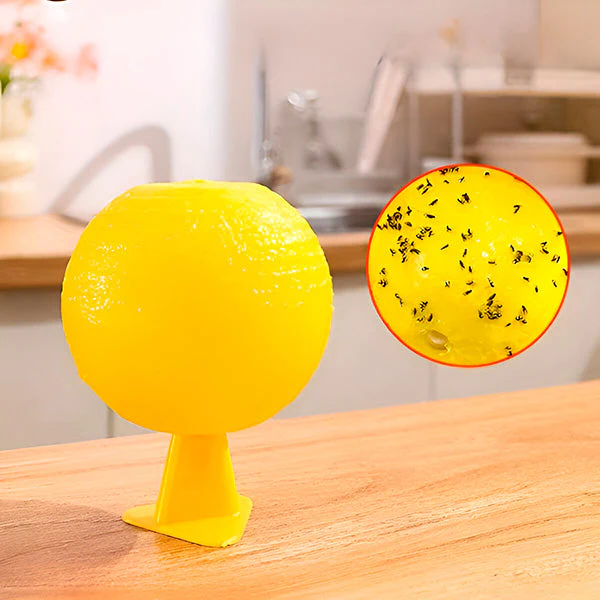 Hanging Fly Trap with Adhesive Layer (6 Pcs) - Image 2