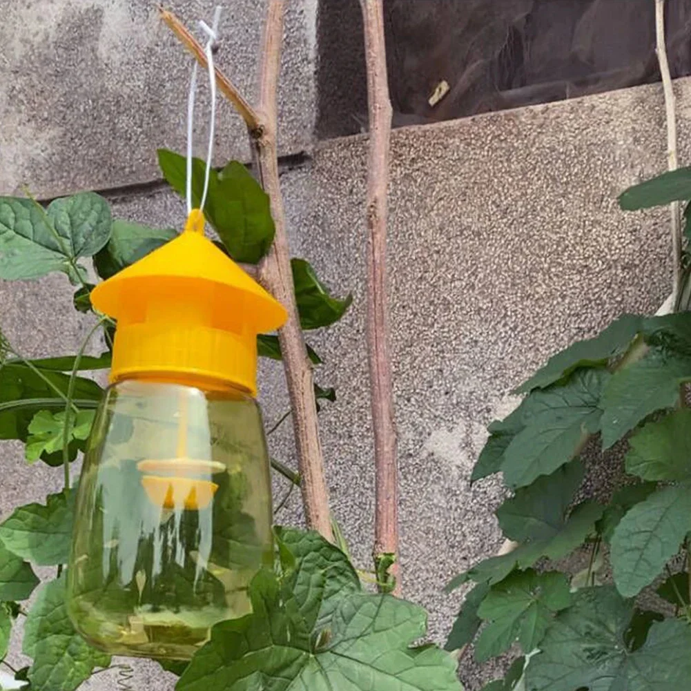 Hanging Fruit Fly Trap - Image 2
