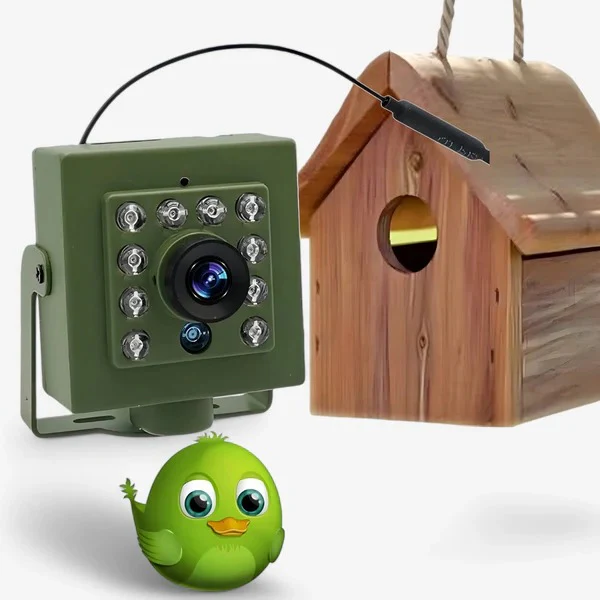 HD WiFi Bird Nest Camera - Image 2