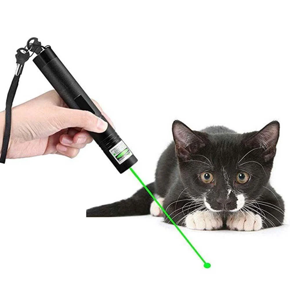 High-Performance Laser Pointer - Image 2