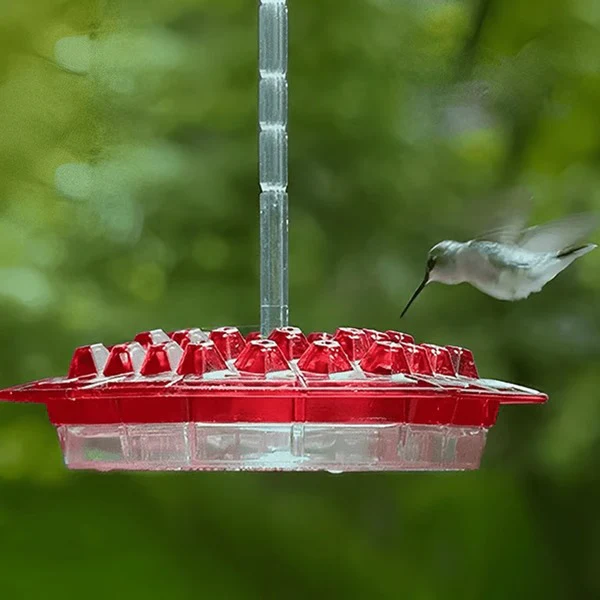 Hummingbird Feeder With Built-In Ant Moat - Image 6