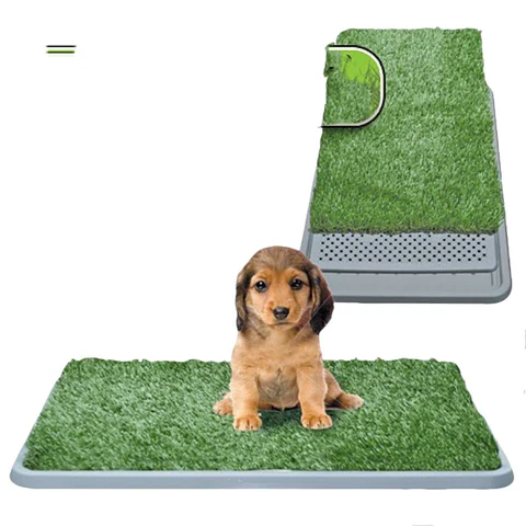 Indoor Grass - Image 4