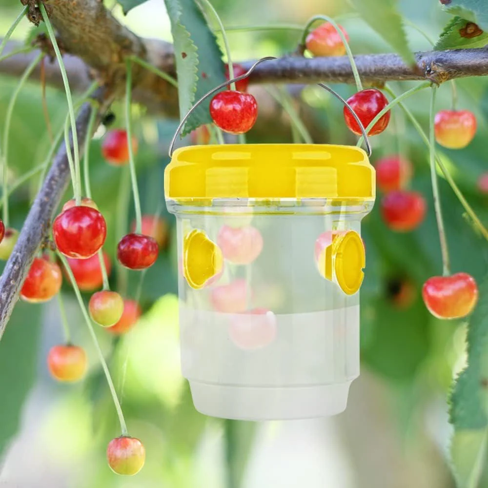 Insect Fruit Fly Traps - Image 3
