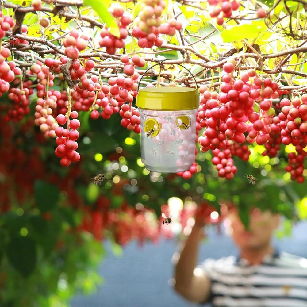 Insect Fruit Fly Traps - Image 4