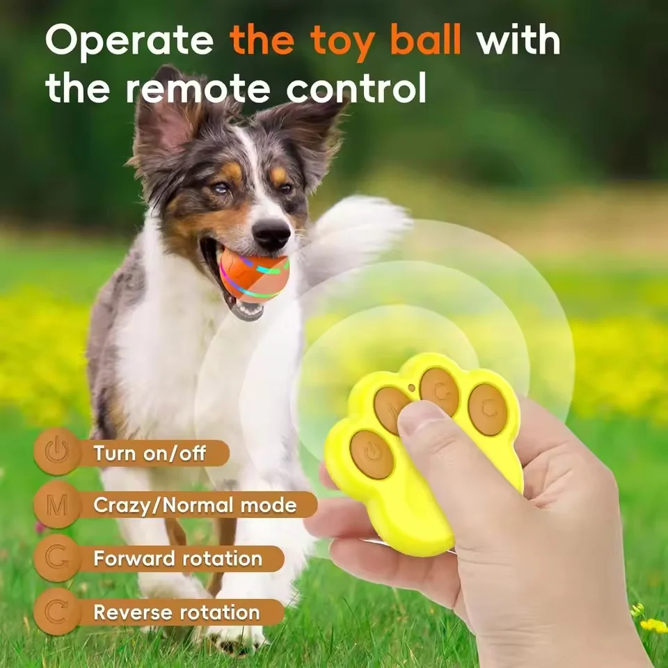Interactive Dog Ball Toy - Image 5