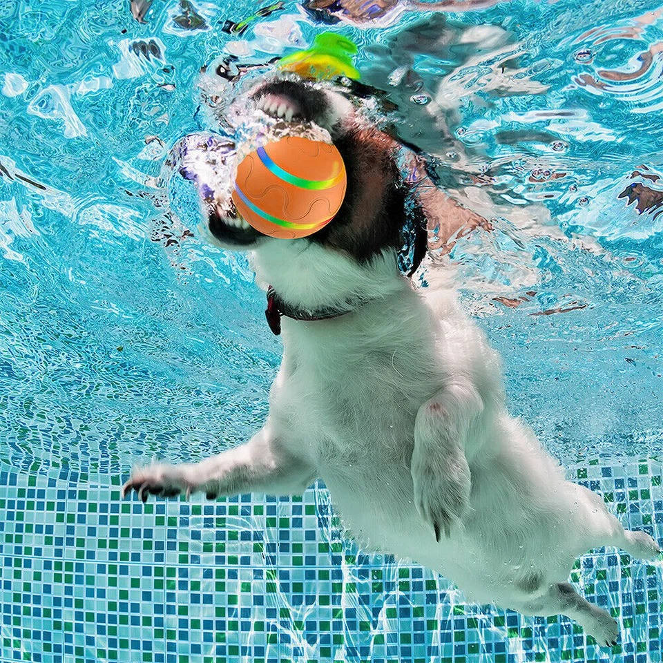 Interactive Dog Ball Toy - Image 7