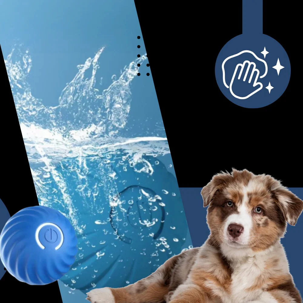Interactive Obstacle-Avoiding Dog Ball - Image 8