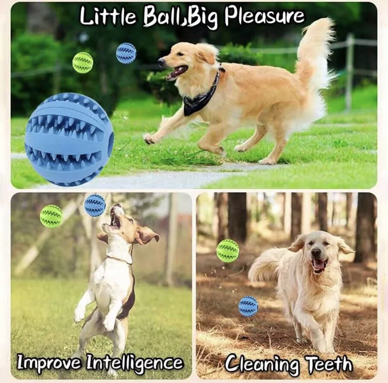 Interactive Rubber Ball - Image 4