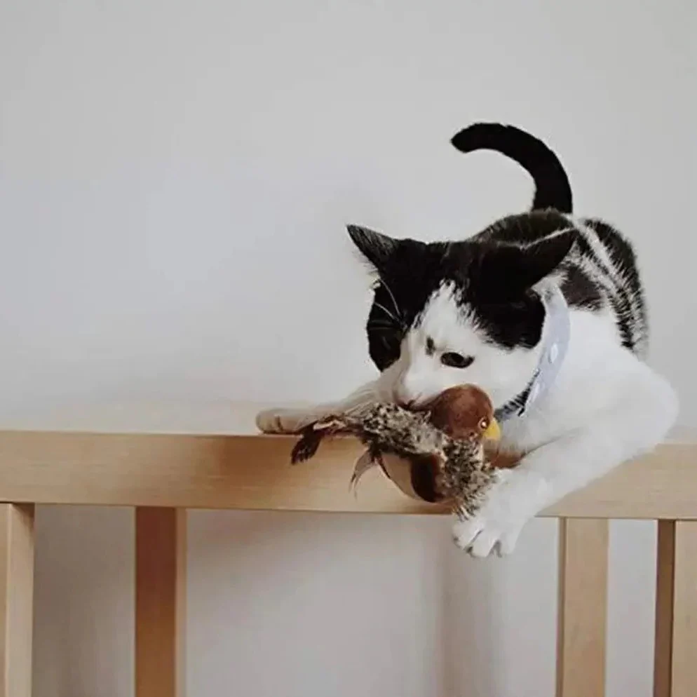 Interactive Sound Bird Cat Toy - Flapping Feather Fun for Indoor Cats - Image 5