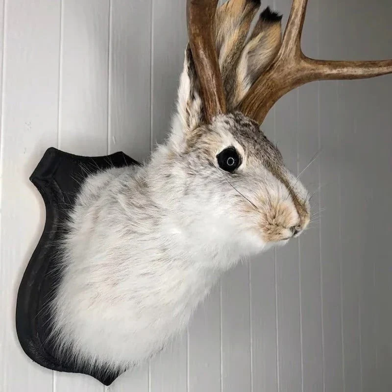 Jackalope Wall Decor - Image 2