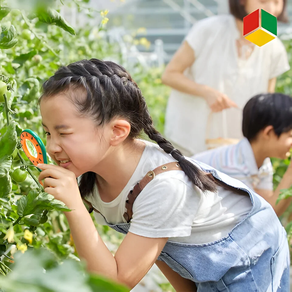 Kids Insect Exploration Kit - Image 2